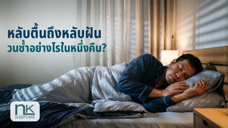 ภาพประกอบวงจรการนอน ตั้งแต่หลับตื้นถึงหลับฝัน